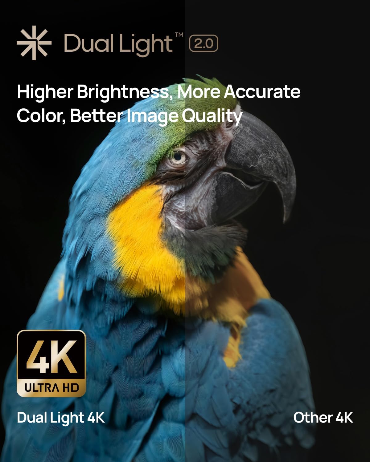 XGIMI Horizon S Pro 4K Beamer Dolby Vision 1800 ISO Lumen Schwarz