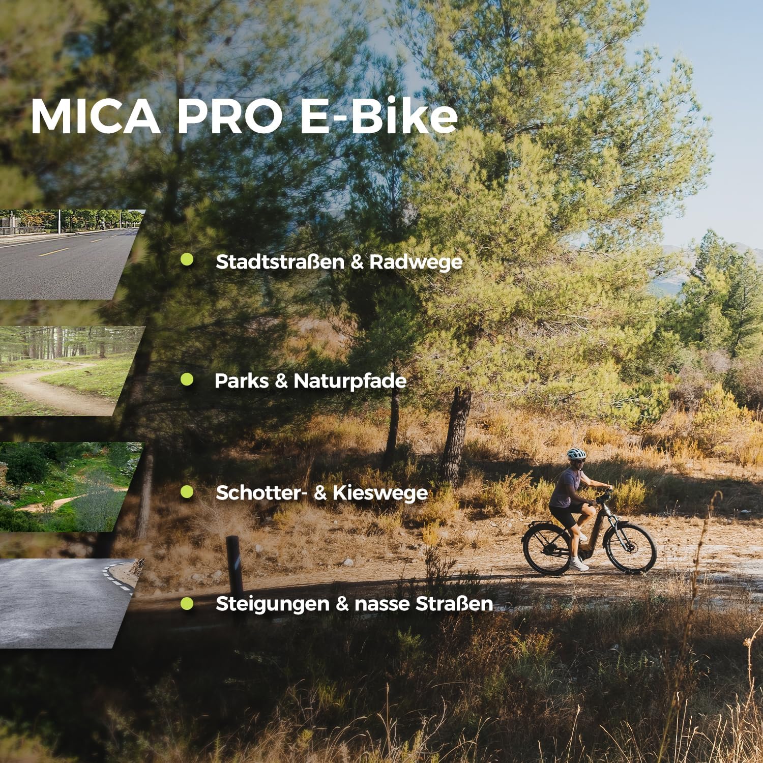 DERUIZ Mica Pro Trekking E-Bike Tiefeinsteiger 27,5/29 Zoll 110 Nm